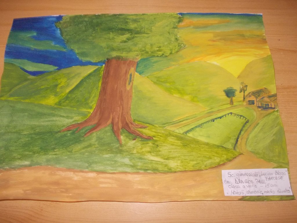 95_Dragos Paul_Sc Farcasa_gimn.JPG